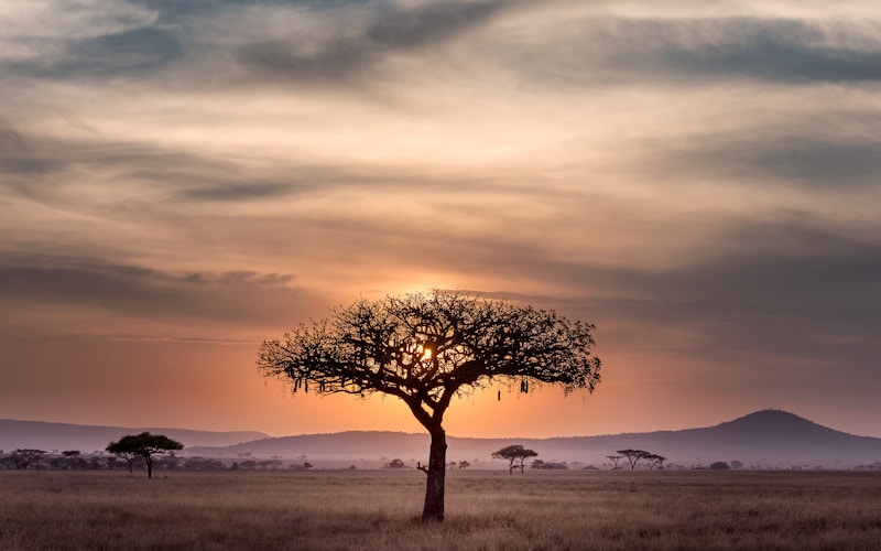 East Africa Tourist Visa
